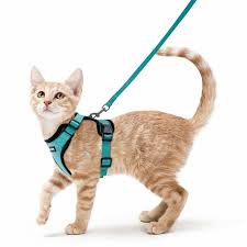 Cat Dog Pet Harness Adjustable Control Vest Dogs Reflective S M L XL Leash